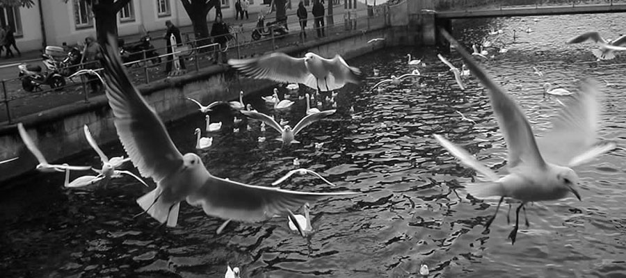 Lucerne Switzerland 2003